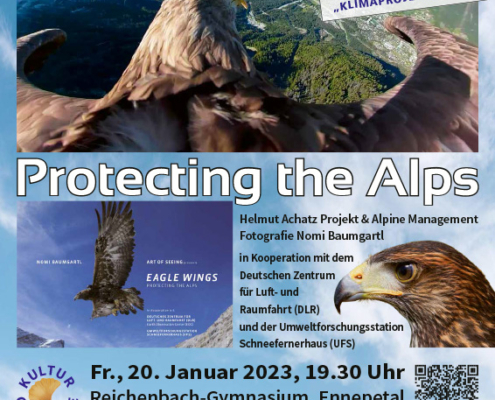 2023-01-20_Eagle-Wings_800px_hoch